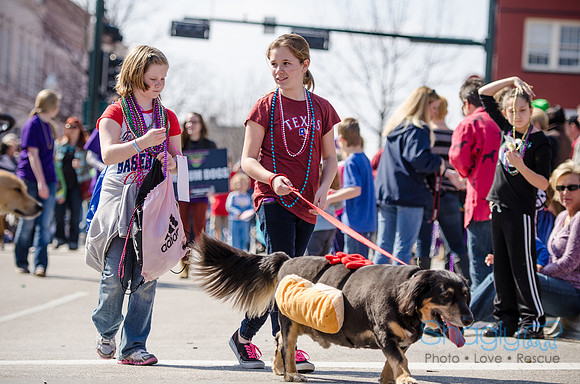 Krewe of Barkus 2012-201