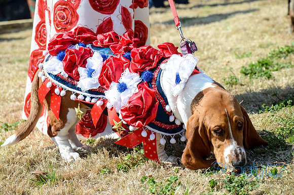 Krewe of Barkus 2012-55