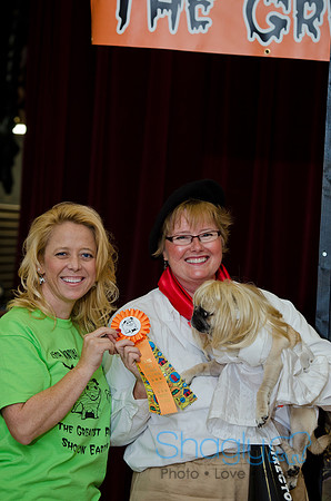 PugOween-152