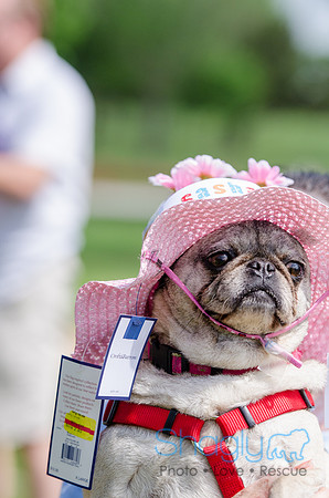 Pugapalooza 2012-88