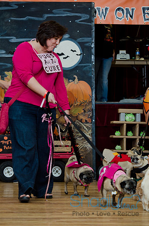 PugOween-240