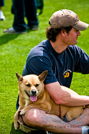 Dog Bowl 2010-93