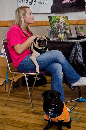 PugOween-256