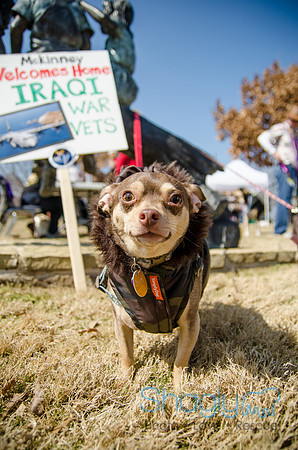 Krewe of Barkus 2012-2