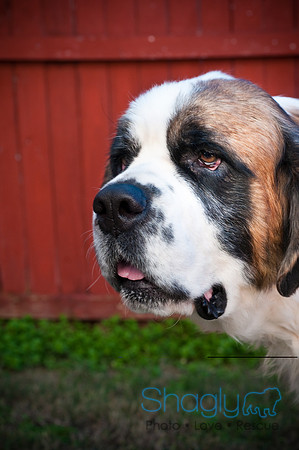 St.Clouds Rescue-2653