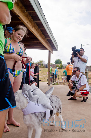 Wags and Waves 2011-407