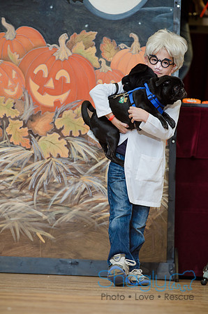 PugOween-34