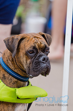 Wags and Waves 2011-84