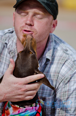 Wags and Waves 2011-45
