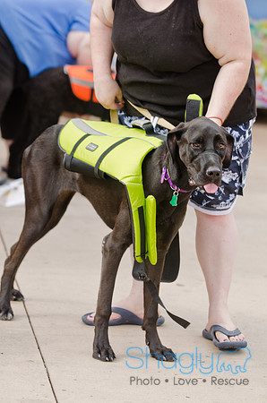 Wags and Waves 2011-23