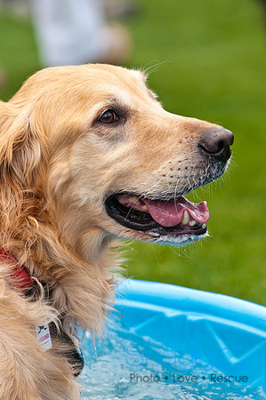 Dog Bowl 2010-37