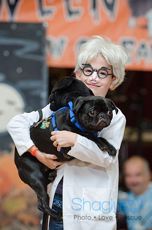 PugOween-35