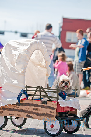 Krewe of Barkus 2011-99