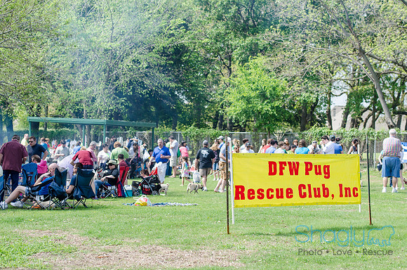 Pugapalooza 2012-68
