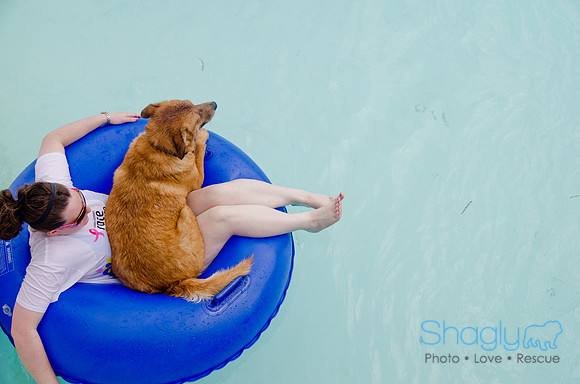 Wags and Waves 2011-329