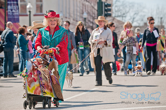 Krewe of Barkus 2011-67