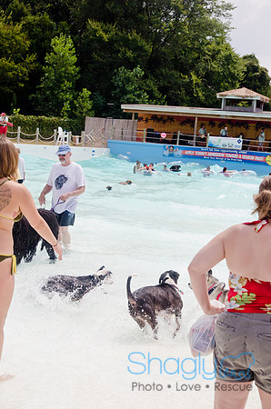 Wags and Waves 2011-283