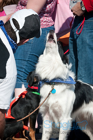 Richardson Pet Day-0372
