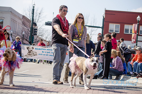 Krewe of Barkus 2012-189