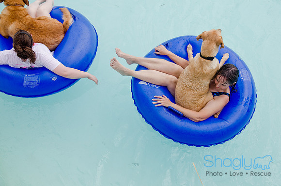 Wags and Waves 2011-328