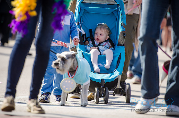 Krewe of Barkus 2012-208