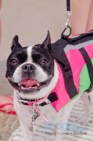 Wags and Waves 2011-280