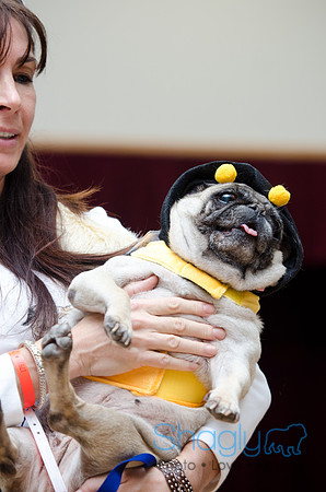 PugOween-18