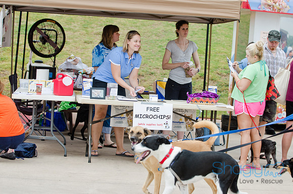 Wags and Waves 2011-29