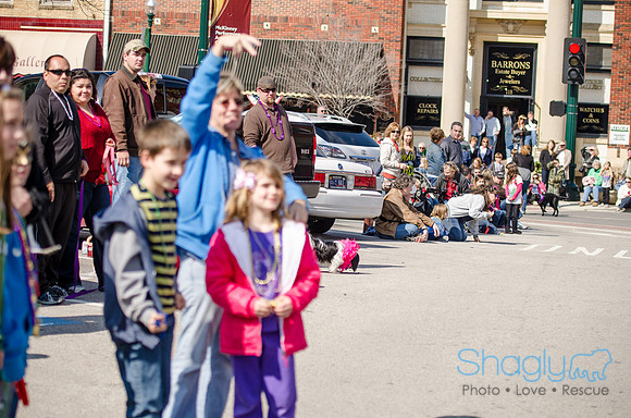 Krewe of Barkus 2012-270