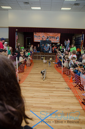 PugOween-3
