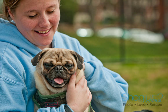 Pug Love Fun Run-192