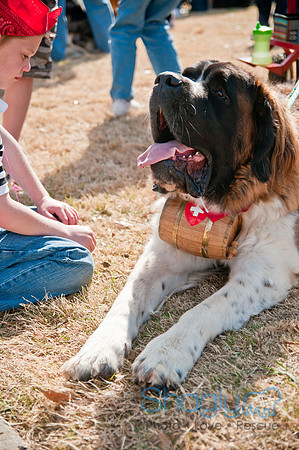Krewe of Barkus 2011-159