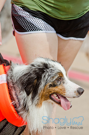 Wags and Waves 2011-177