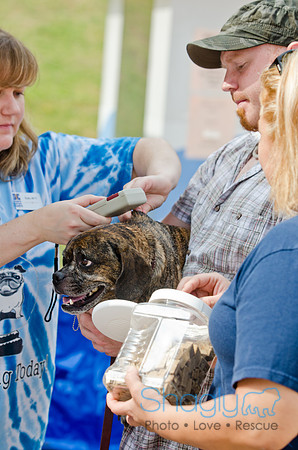 Wags and Waves 2011-64