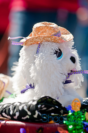 Krewe of Barkus 2011-115