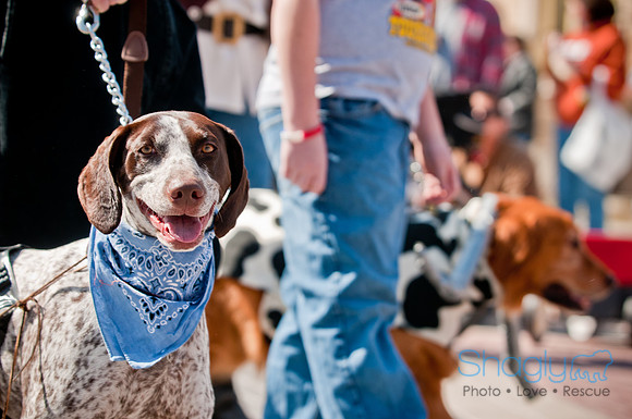 Krewe of Barkus 2011-110