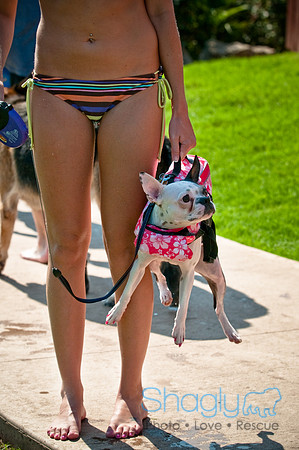 Wags and Waves-134