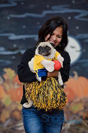 PugOween-129