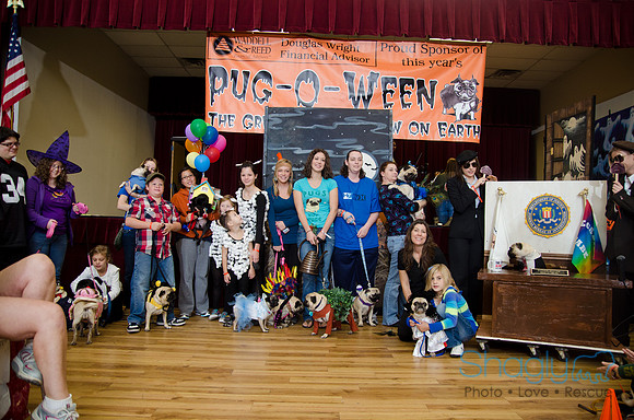 PugOween-68