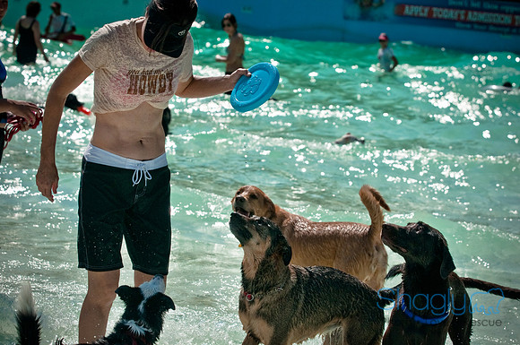 Wags and Waves-148