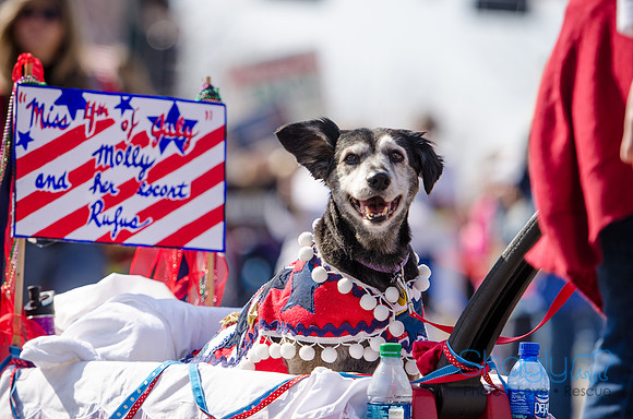 Krewe of Barkus 2012-225