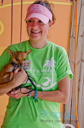 Wags and Waves 2011-399
