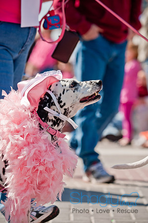 Krewe of Barkus 2011-121