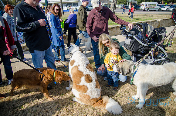 Krewe of Barkus 2012-339