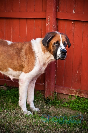 St.Clouds Rescue-2607