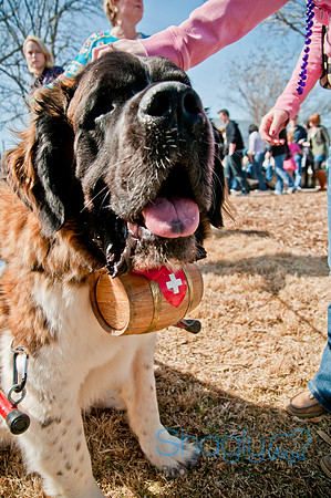 Krewe of Barkus 2011-149