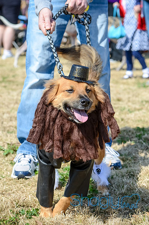Krewe of Barkus 2012-60