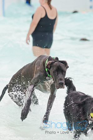 Wags and Waves 2011-163