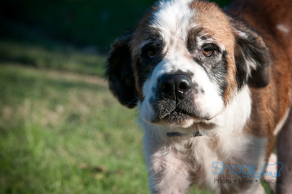 St.Clouds Rescue-0451