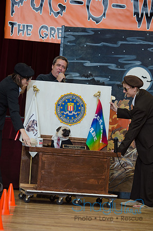 PugOween-55